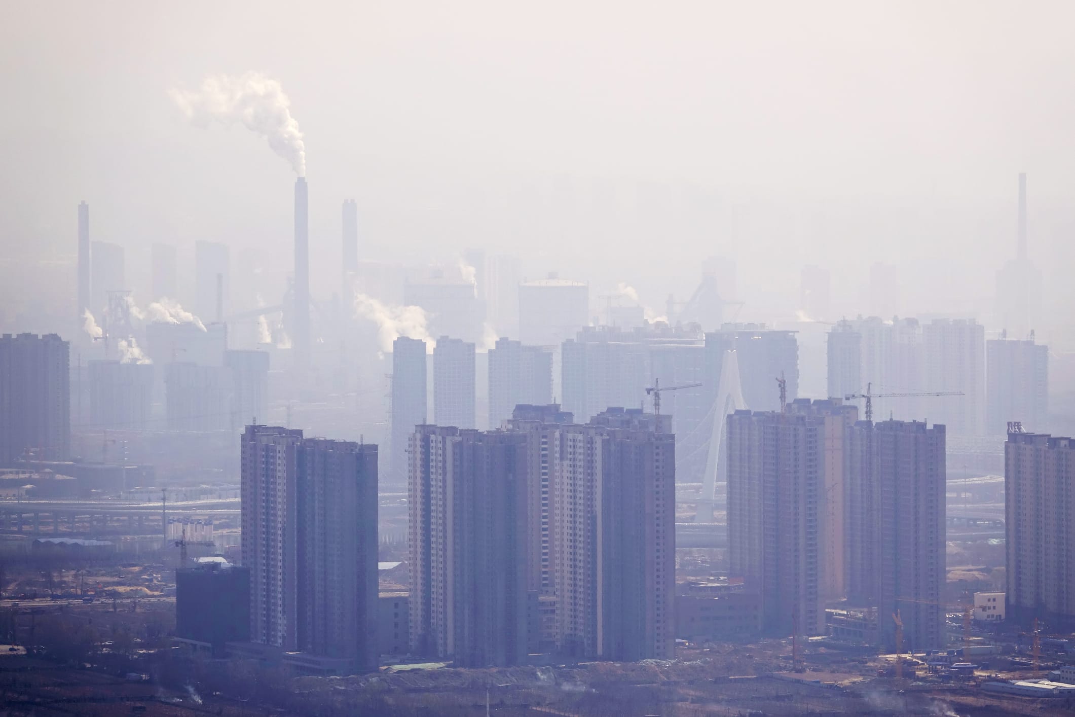 Photo: respiratory-therapy.com UCLA Health identifies blood biomarkers of air pollution tissue stress