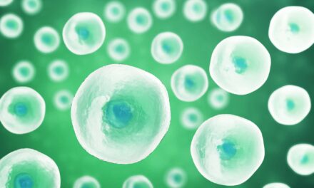 Intestinal Immune Cell Prevents Food Allergies