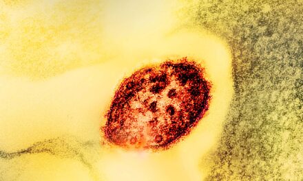 Second Child Dies of Measles in Texas