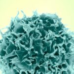 Chronic Smoke Reprograms Lung Stem Cells