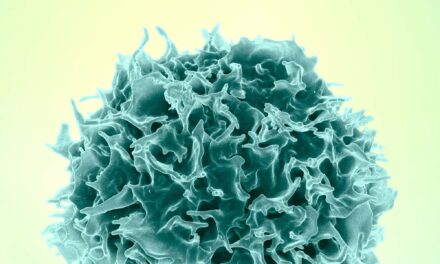 New Class of Immune Cells ID’d in Fight Against Legionella
