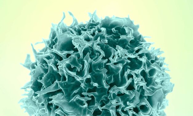 Chronic Smoke Reprograms Lung Stem Cells