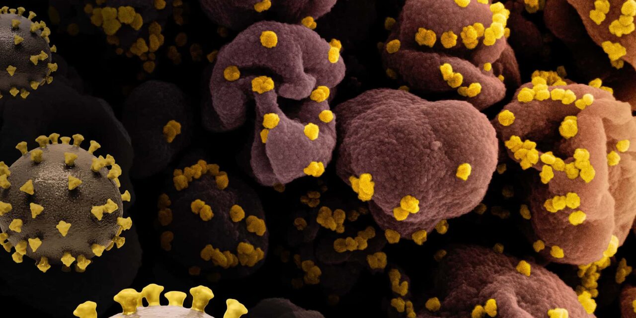 Long COVID Increases Children’s Kidney, Heart, and Gut Risks