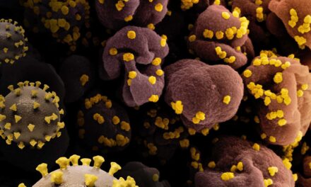 Long COVID Increases Children’s Kidney, Heart, and Gut Risks