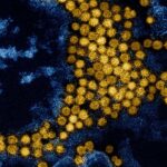 Roche Launches New Respiratory Pathogen Test in CE Markets