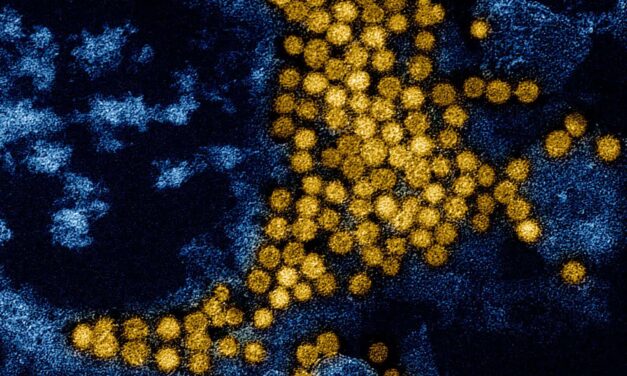 Roche Launches New Respiratory Pathogen Test in CE Markets