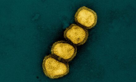 Can a Yeast-based Universal Flu Vaccine Replace Annual Shots?