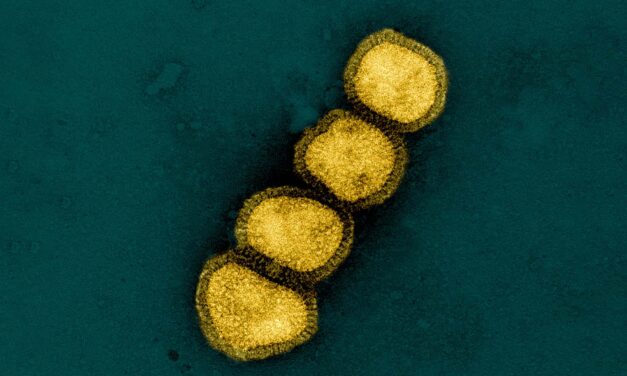 Can a Yeast-based Universal Flu Vaccine Replace Annual Shots?