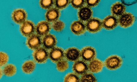 Influenza D Virus Replicates in Human Lung Cells