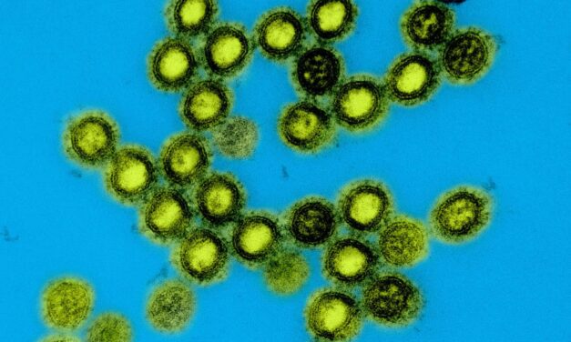 How Host Genetics and Sex Influence Influenza Virulence