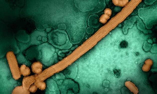 Pediatric Respiratory Infections Back to Pre-Pandemic Patterns
