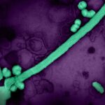 FDA Approves First mRNA Flu Vaccine