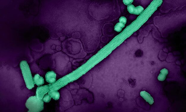 FDA Approves First mRNA Flu Vaccine