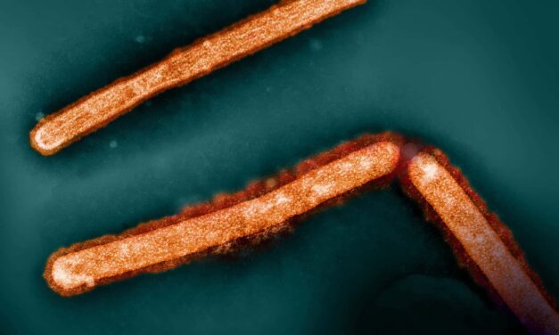 Italy Reports First Human Case of H9N2 Bird Flu