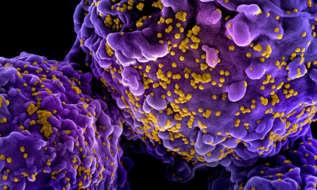 Human Metapneumovirus Surging in US, California