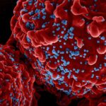 IDSA Concerned Over Federal Plan to Overhaul Infectious Disease Research