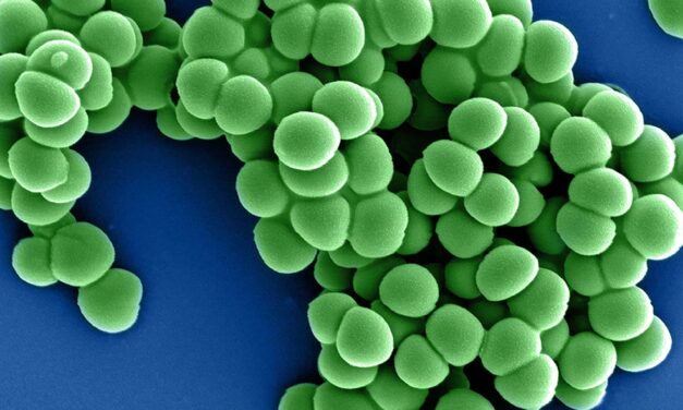 Cancer Patients Face Elevated Risk of Antimicrobial Resistant Superbugs