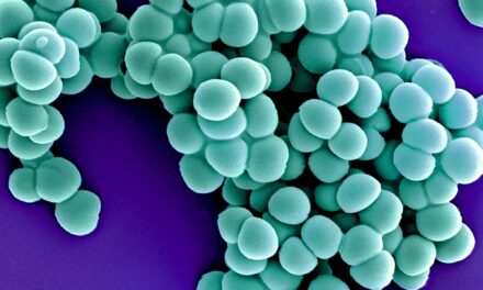 Certain Nasal Bacteria May Boost COVID-19 Risk