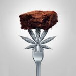 Older Adults Turning to Cannabis Edibles