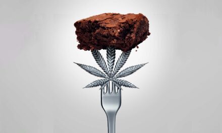 Older Adults Turning to Cannabis Edibles