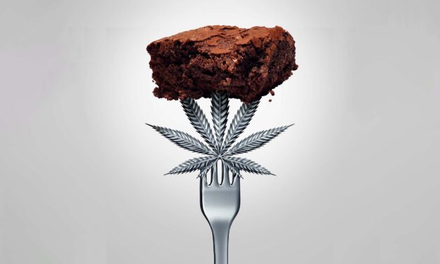 Nicotine Alternatives Archives