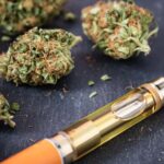 Best Practices for Cannabis/Cannabinoids Use in Chronic Pain Patients