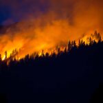 Wildfire Smoke Increases Ground-Level Ozone, Mortality Rates