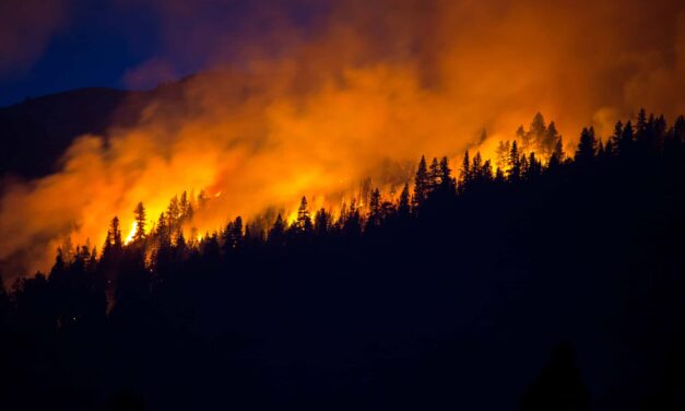 Cardiorespiratory Effects of Wildfire Smoke Persist for Months