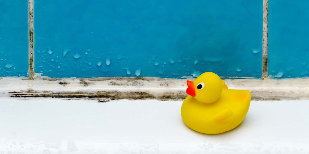 Household Mold Linked to Hypersensitivity Pneumonitis