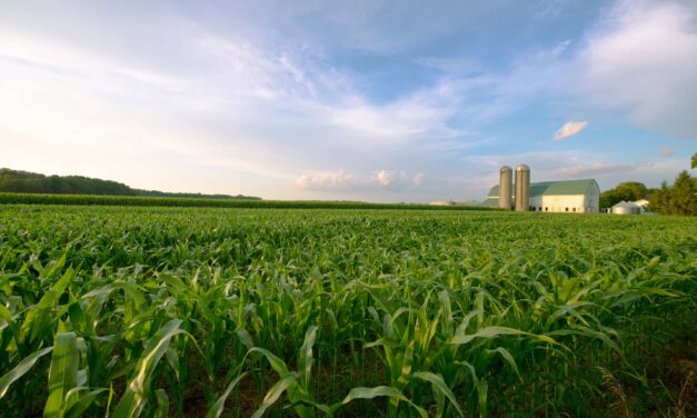 Fewer Sleep Apnea Referrals for Rural Patients