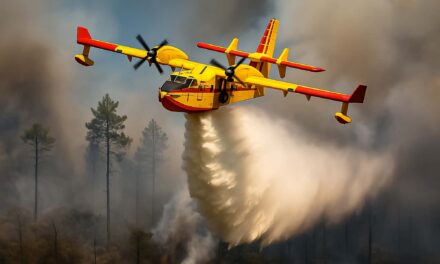 COPD Patients Need More Education on Wildfire Smoke Risks