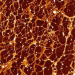 Quantitative Mucin Index: a New Metric to Monitor Lung Health