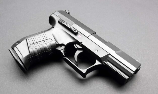 Nearly 30M Americans Purchased Firearms After the COVID Pandemic