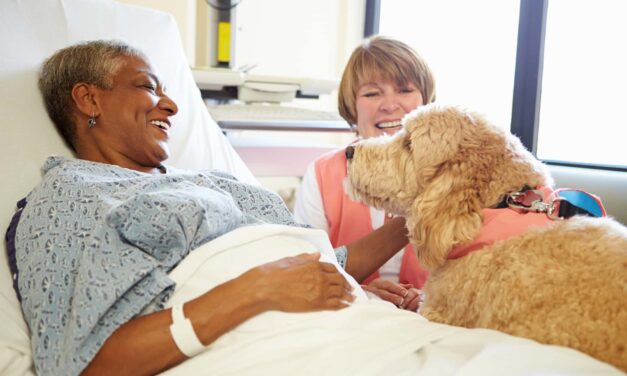 Baxter Launches Pilot Program for Therapy Animals in Healthcare Settings