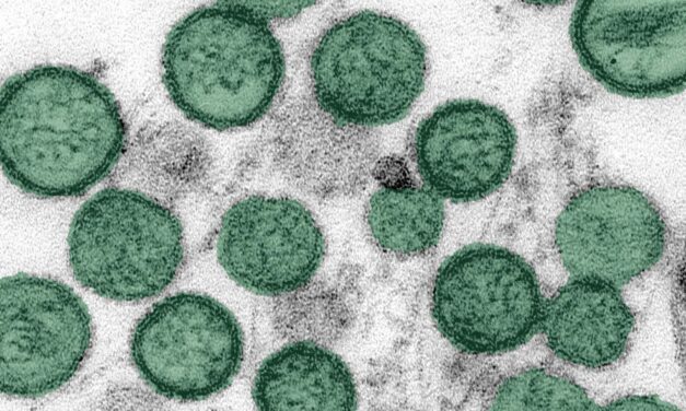 Hantavirus Outbreak on Cruise Ship Leads to Three Deaths