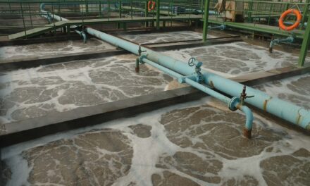 Wastewater Testing Detects C. auris Months Before Outbreaks