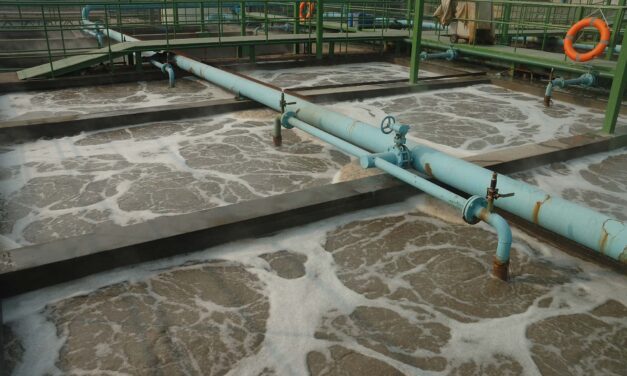 Wastewater Testing Detects C. auris Months Before Outbreaks