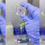 Asthma Attacks May Permanently Alter Airway Tissues