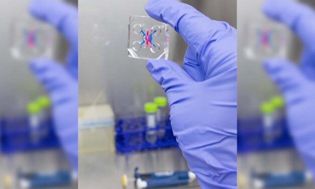 Asthma Attacks May Permanently Alter Airway Tissues