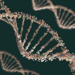 How Genetic Mutations Cause Primary Ciliary Dyskinesia