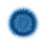 Invasive Mold Disease to High ICU and Ventilation Rates