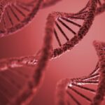 Experimental Therapy for Rare ALS Tested