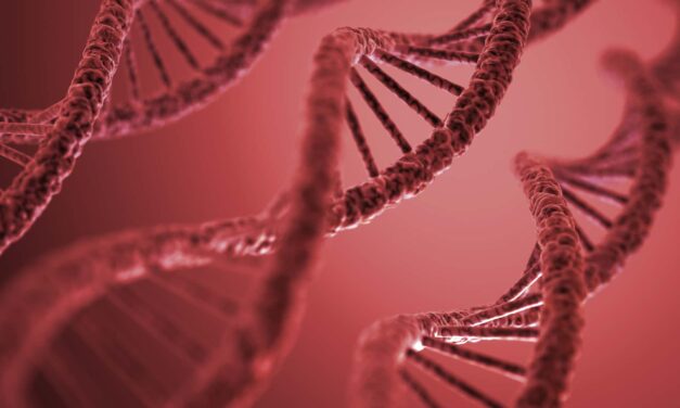 Experimental Therapy for Rare ALS Tested